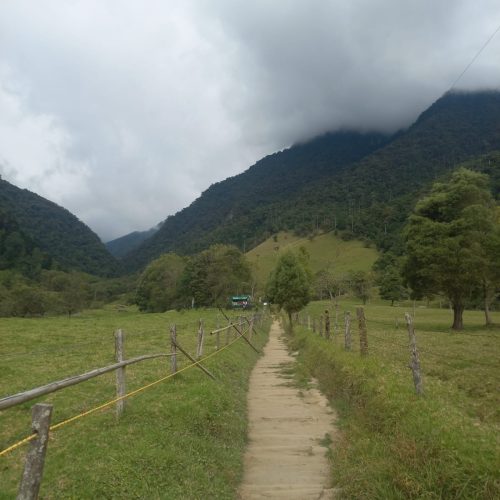 18822cb5-8bb5-4294-9a6a-b12a54c03e67