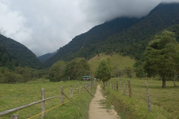 18822cb5-8bb5-4294-9a6a-b12a54c03e67